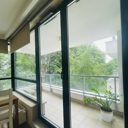 Vijolie West Exclusive *