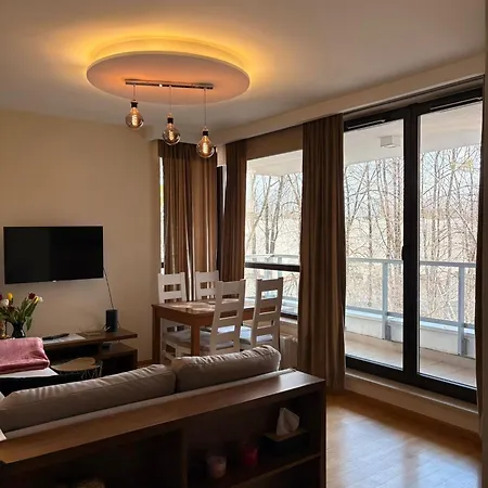 Vijolie West Exclusive Appartement